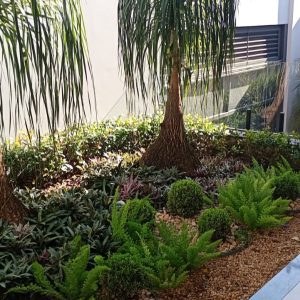 pedro jardineiro img 1