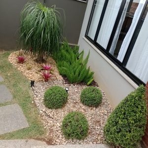 pedro jardineiro img 10