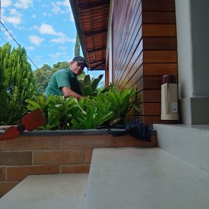 pedro jardineiro img 12