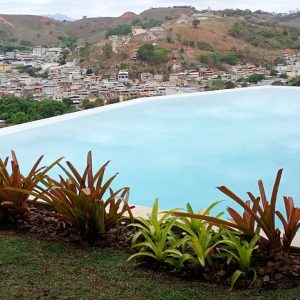 pedro jardineiro img 2