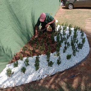 pedro jardineiro img 4