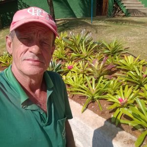 pedro jardineiro img 5