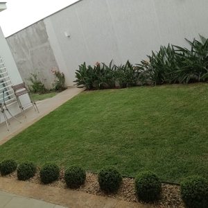 pedro jardineiro img 8