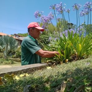 pedro jardineiro img 9