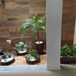 pedrojardineirofoto11