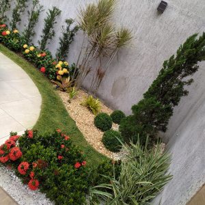 pedrojardineirofoto12