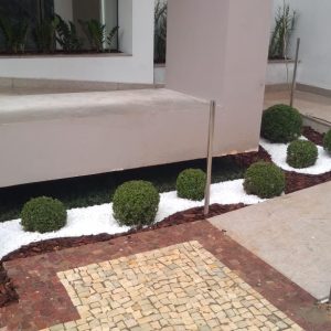 pedrojardineirofoto20