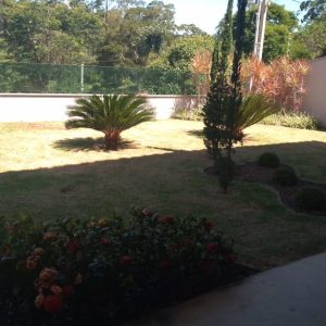 pedrojardineirofoto23