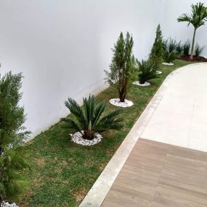 pedrojardineirofoto25