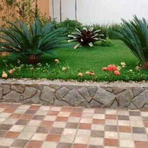 pedrojardineirofoto26