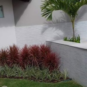 pedrojardineirofoto27