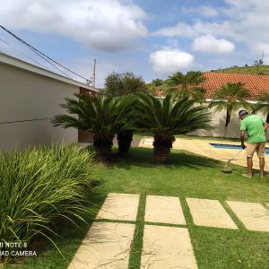 pedrojardineirofoto3