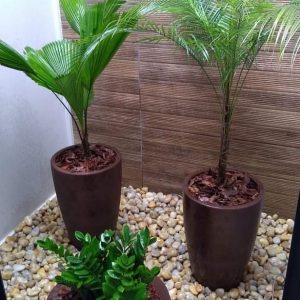 pedrojardineirofoto30