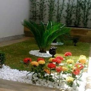 pedrojardineirofoto32