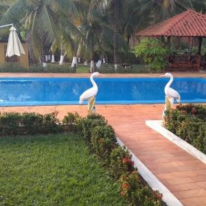 pedrojardineirofoto34