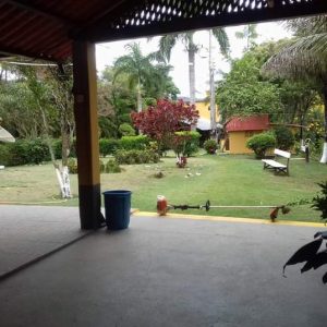 pedrojardineirofoto37