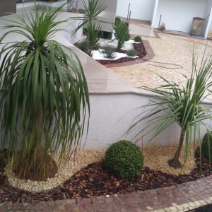 pedrojardineirofoto39