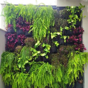 pedrojardineirofoto40