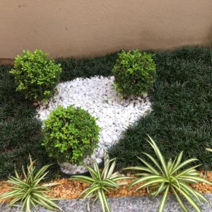 pedrojardineirofoto5