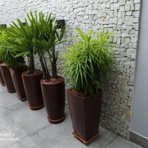 pedrojardineirofoto6