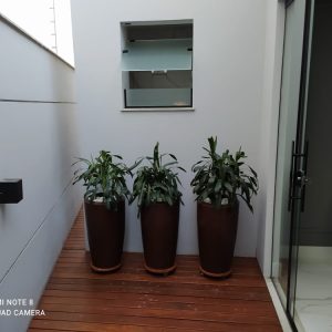 pedrojardineirofoto7