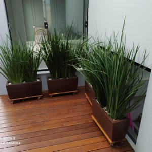 pedrojardineirofoto8