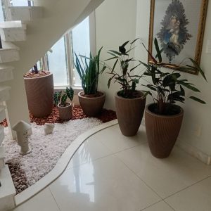 pedrojardineiroimgfoto21